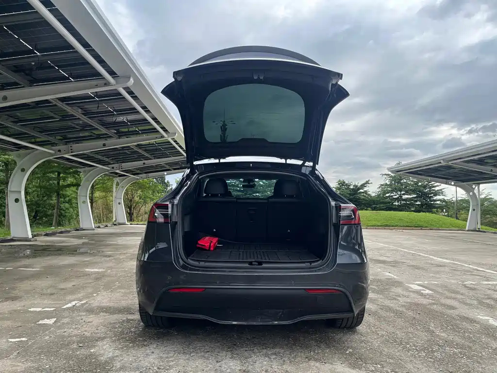 Tesla Model Y — миниатюра 20