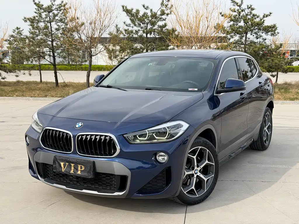 BMW X2 (Import) 2019