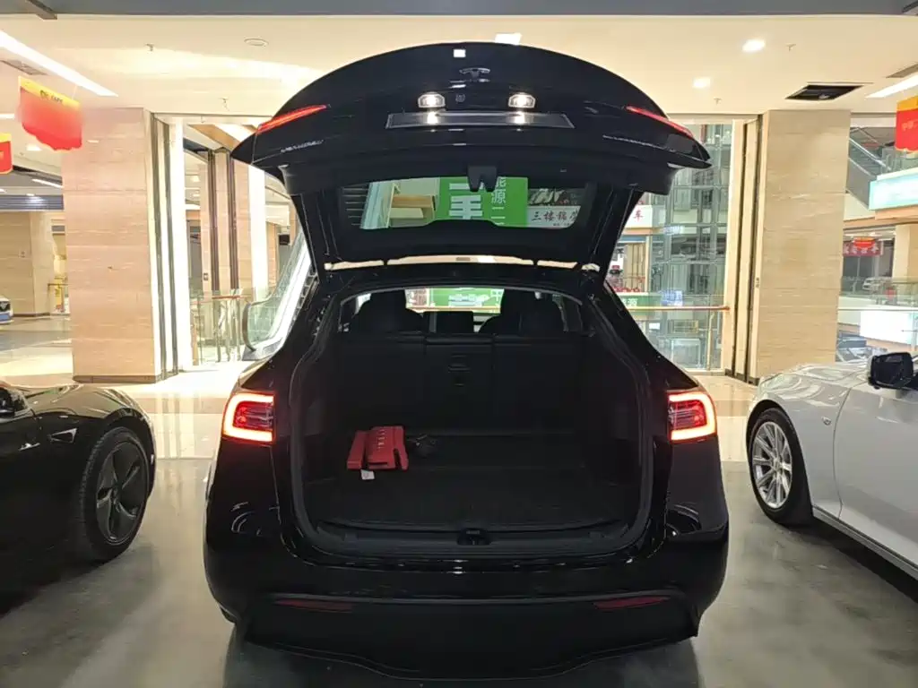 Tesla Model Y — миниатюра 19