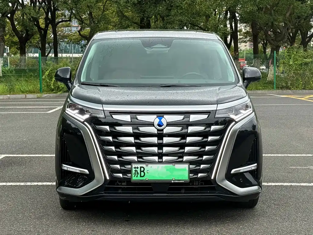 Denza Denza D9 — миниатюра 2