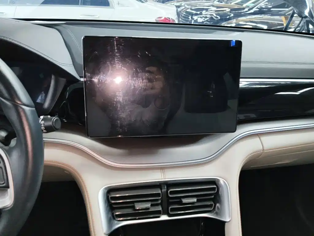 BYD PLUS New Energy — миниатюра 13