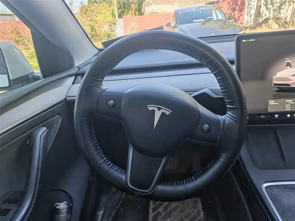 Tesla Model Y — миниатюра 7