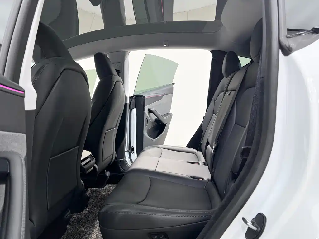 Tesla Model Y — миниатюра 8
