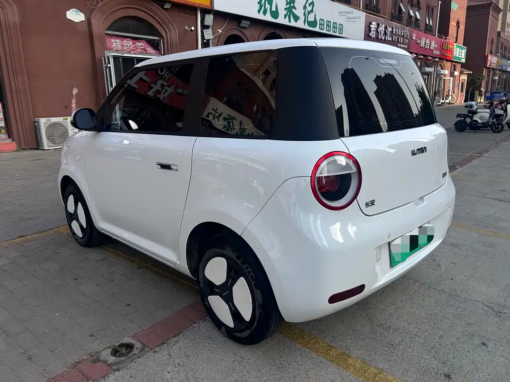 Qiyuan Lumin — миниатюра 5