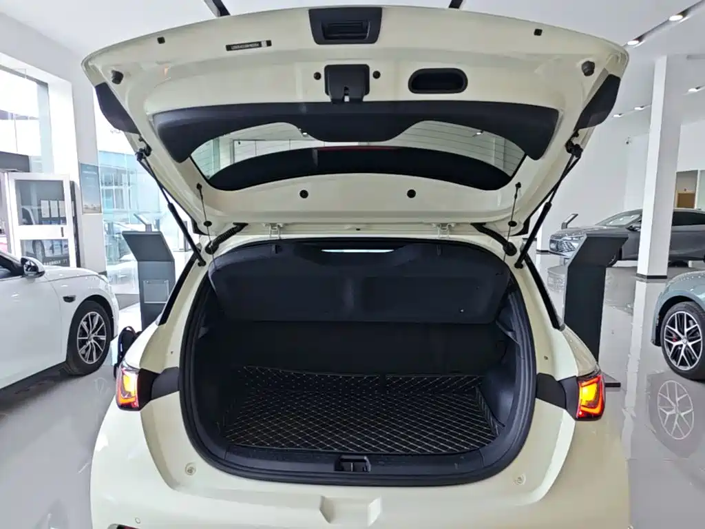BYD Dolphin — миниатюра 19