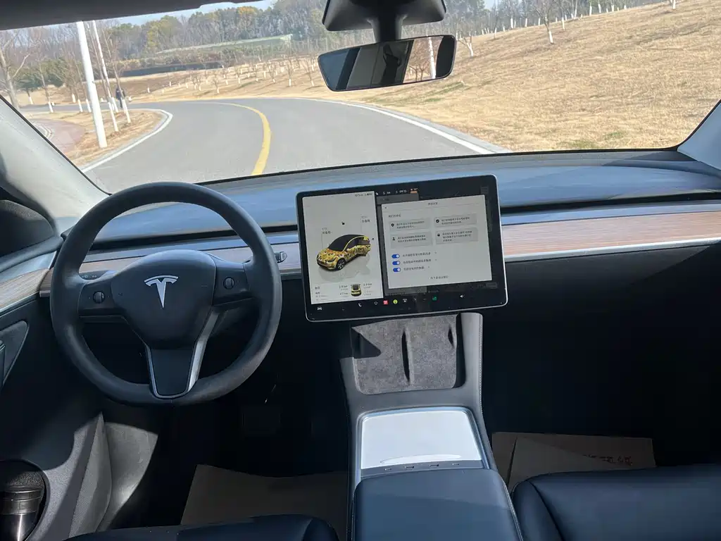 TESLA MODEL Y