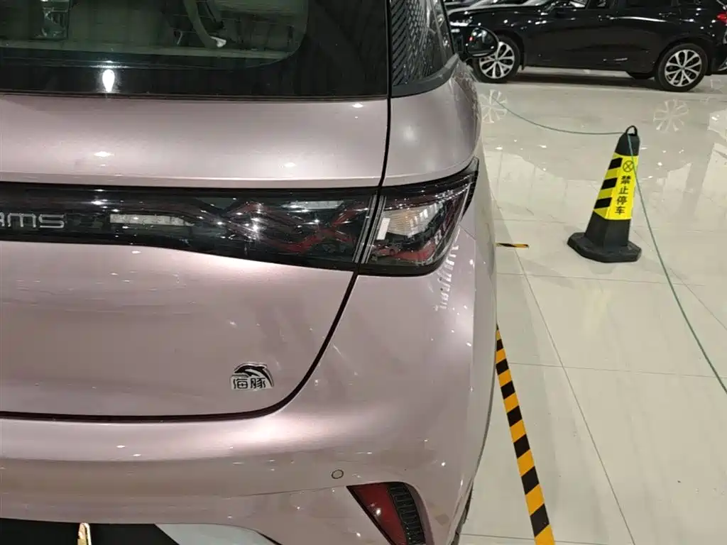 BYD Dolphin 2021 401km