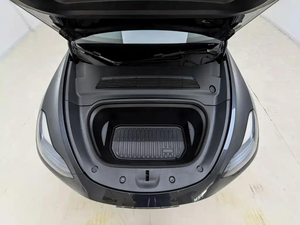 Tesla Model Y — миниатюра 3