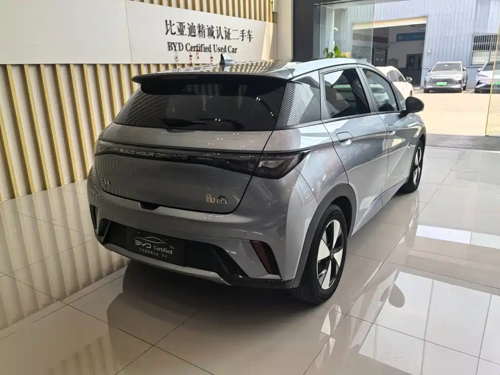 BYD Dolphin — миниатюра 6