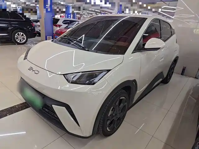 2024 BYD Seagull