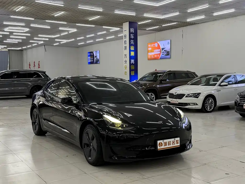 Tesla Model 3 — миниатюра 3
