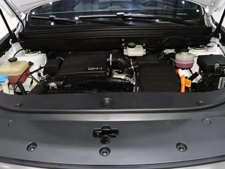 BYD Pro New Energy — миниатюра 19