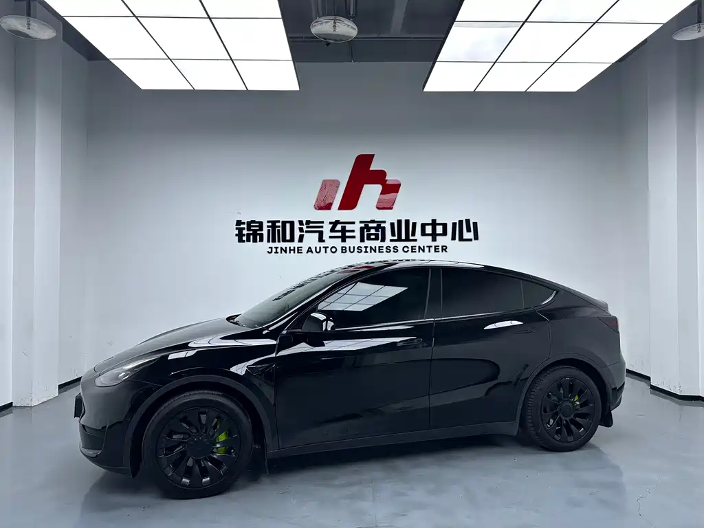 Tesla Model Y — миниатюра 5