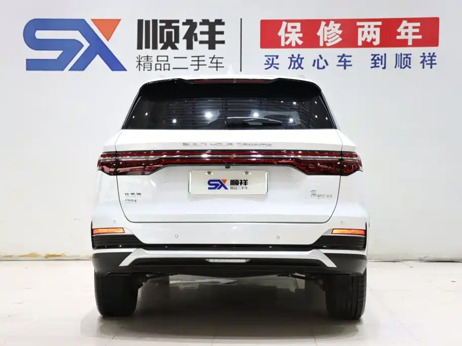 BYD Pro New Energy — миниатюра 5