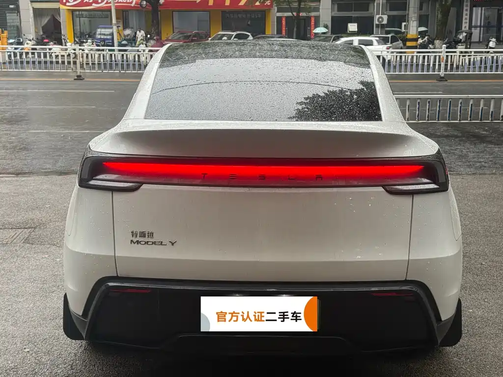 Tesla Model Y — миниатюра 4