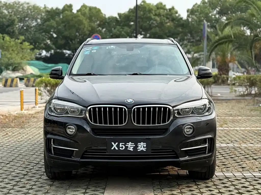 BMW X5 (Import) — миниатюра 2
