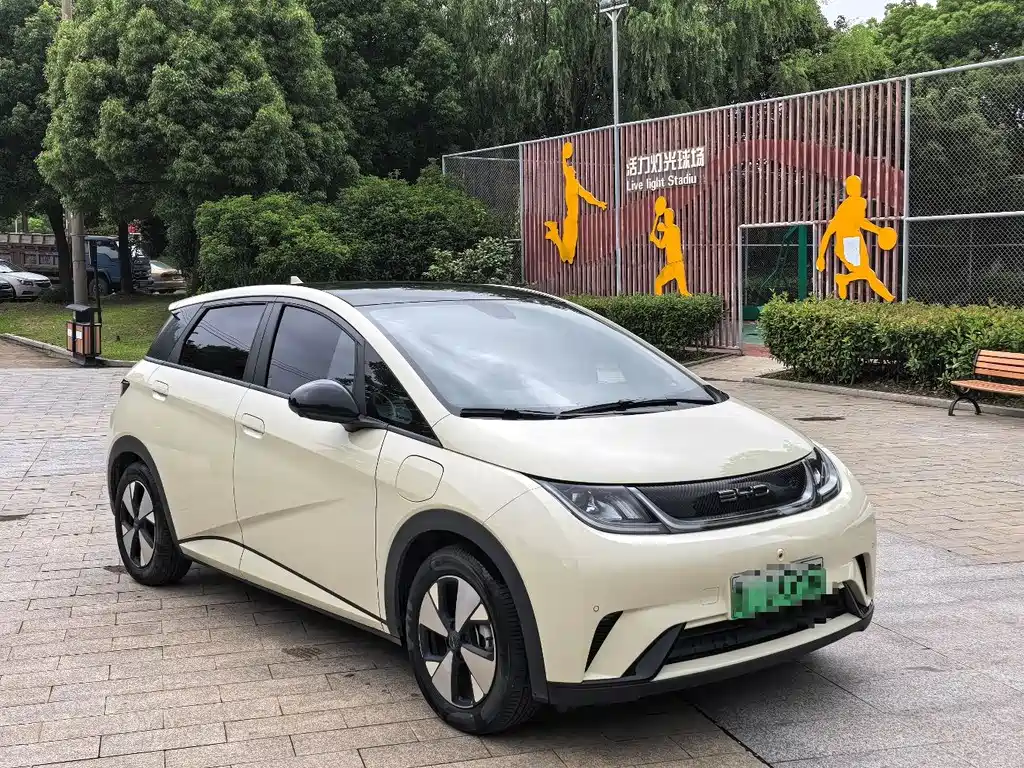 BYD Dolphin 2024 420km Fashion