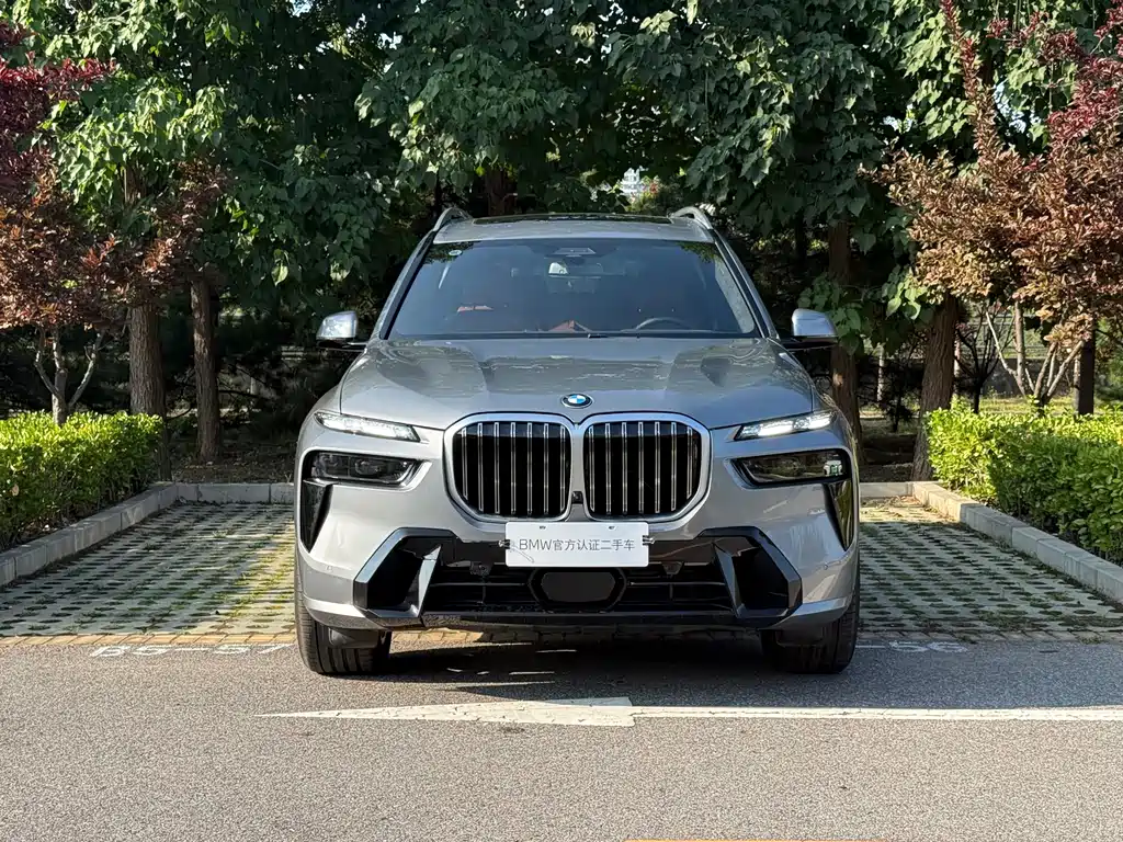 BMW X7 — миниатюра 5