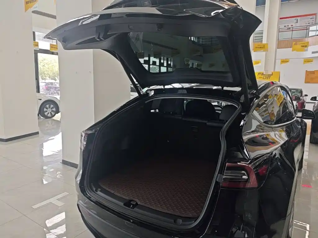 Tesla Model Y — миниатюра 19