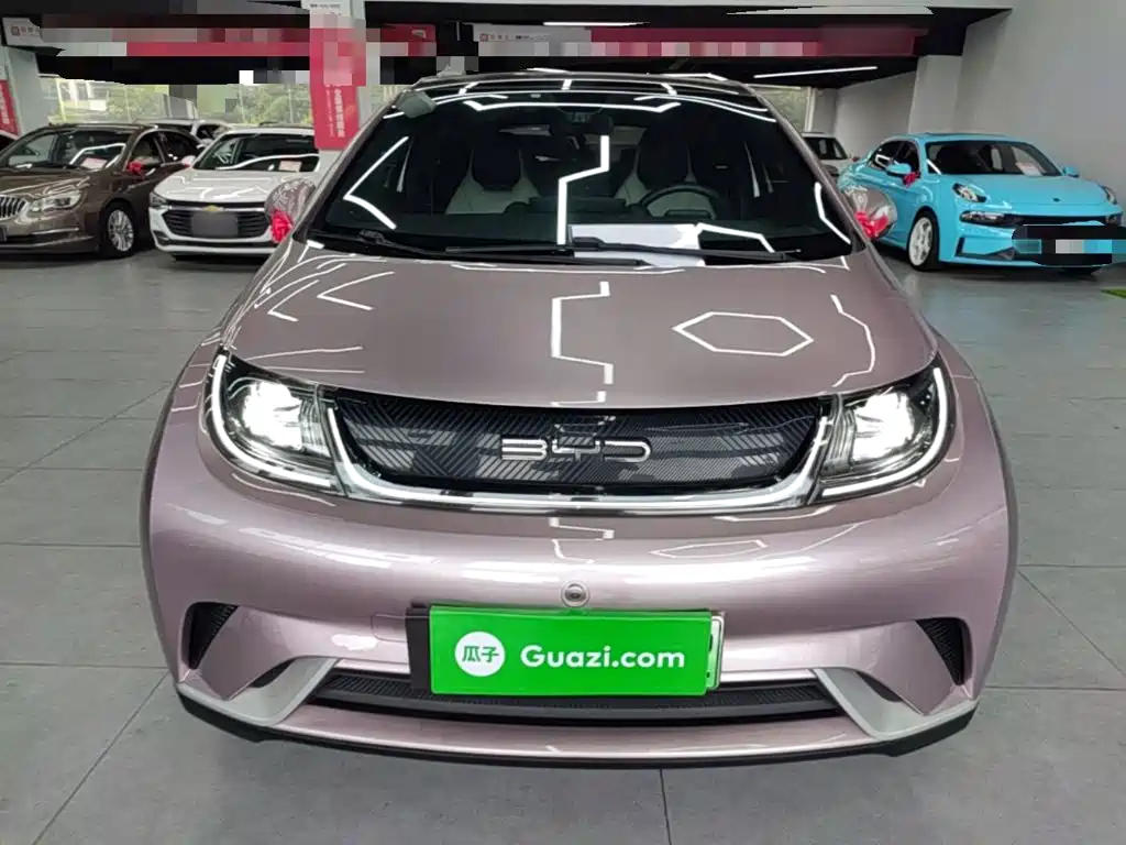 BYD Dolphin - фото 3