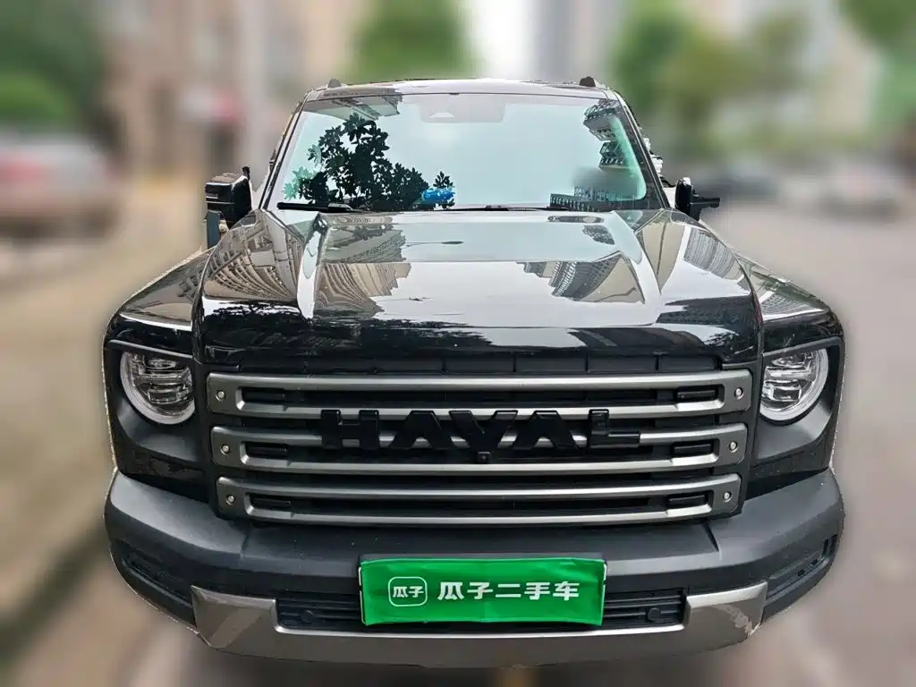 Haval Menglong New Energy — миниатюра 2