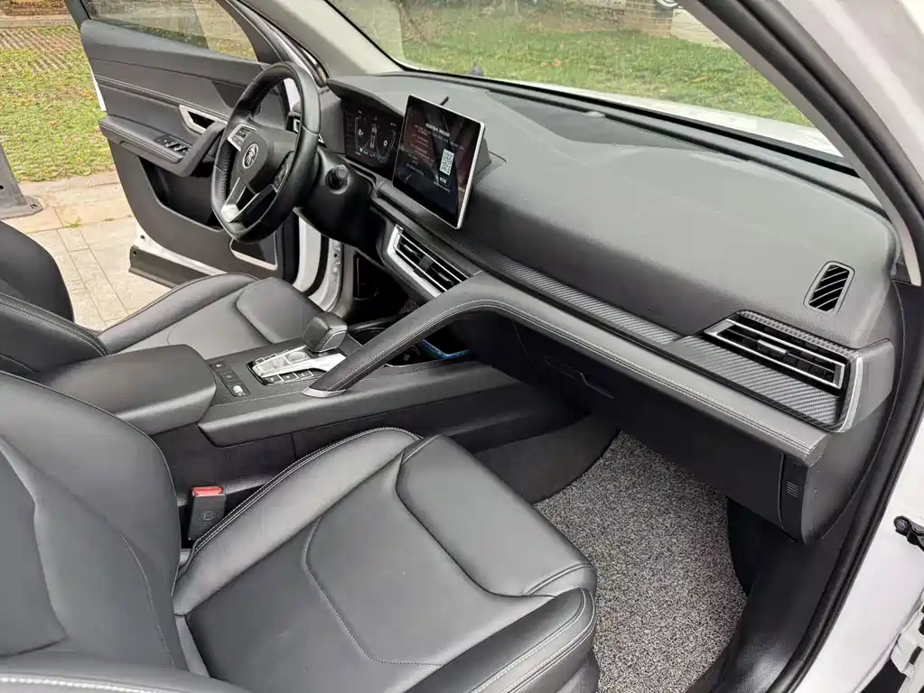 BYD Pro — миниатюра 9