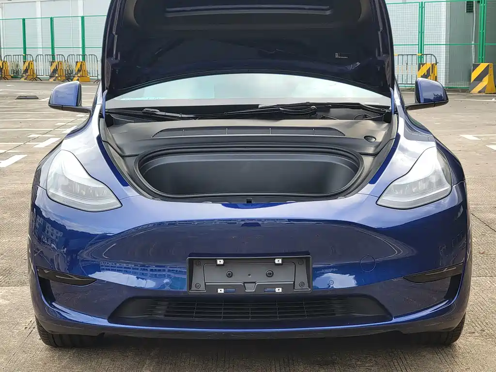 Tesla Model Y — миниатюра 5
