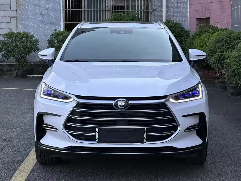 BYD Tang New Energy — миниатюра 2