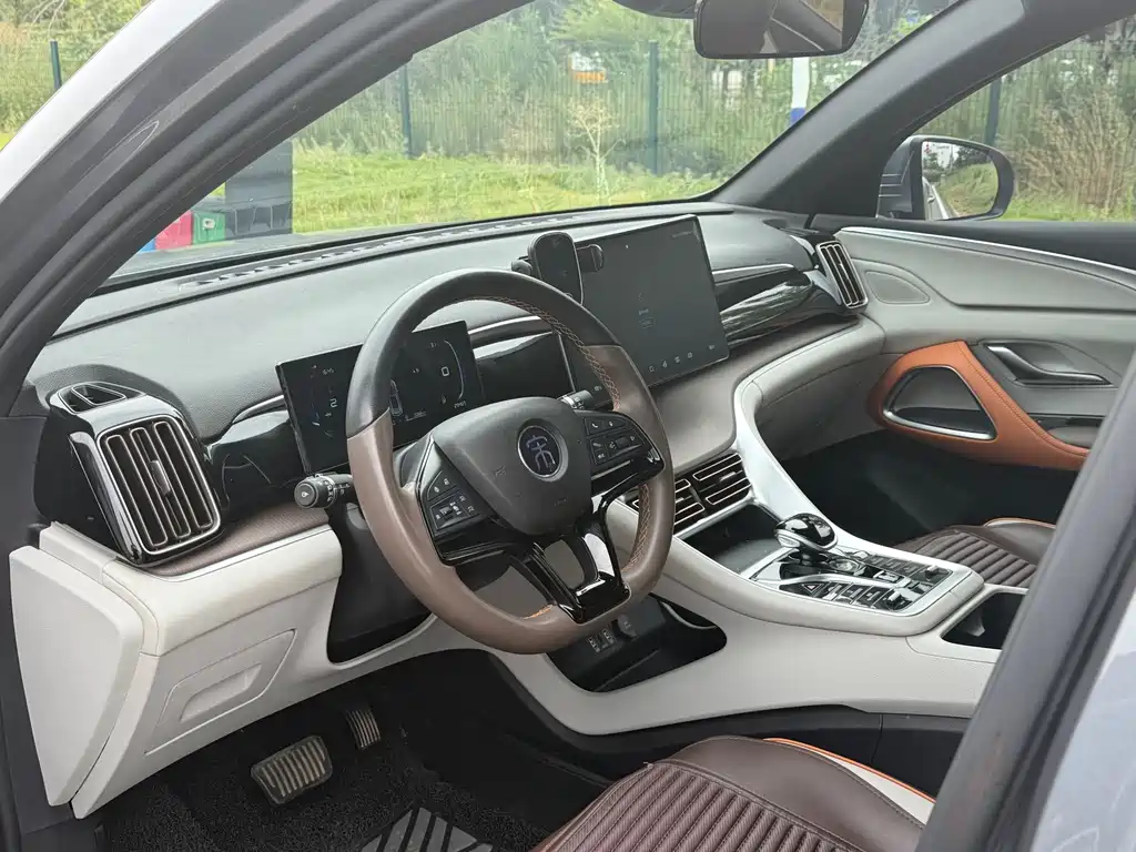 BYD Pro New Energy — миниатюра 6