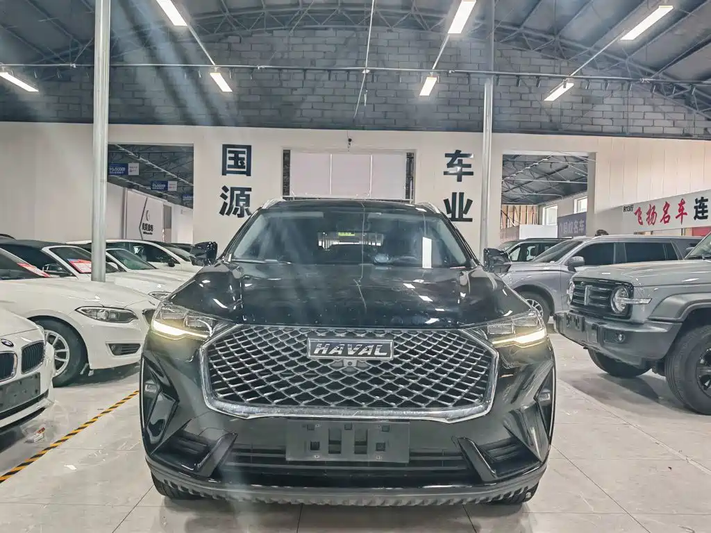 Haval H6 — миниатюра 7