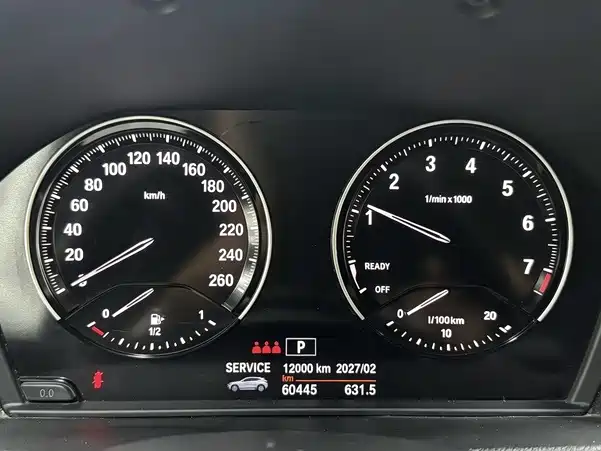 BMW X2 (Import) — миниатюра 12