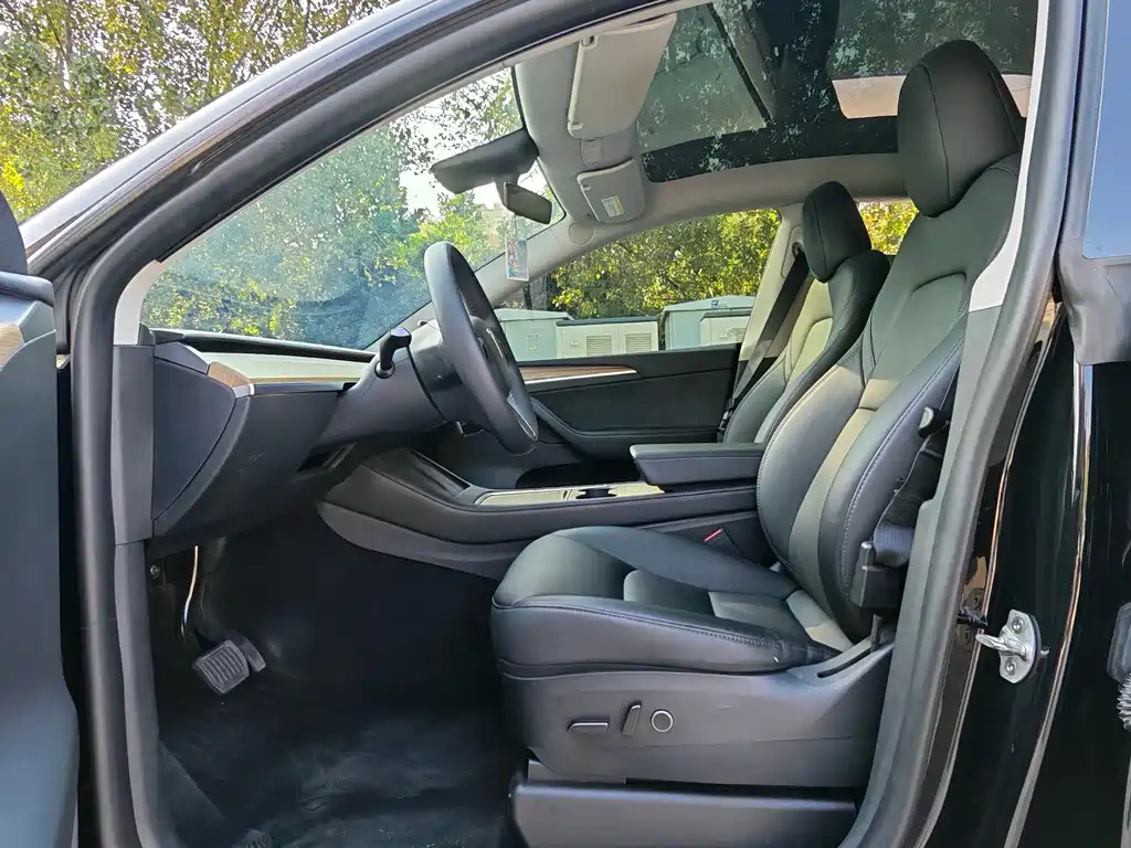 Tesla Model Y — миниатюра 6