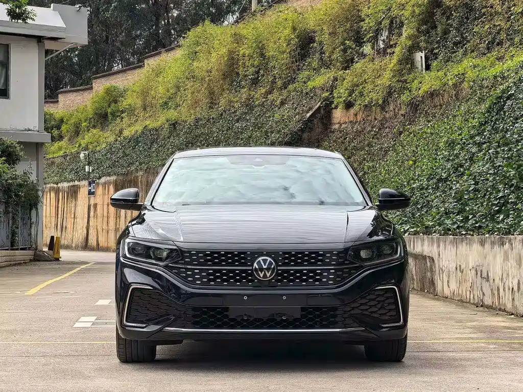 Volkswagen Passat — миниатюра 2