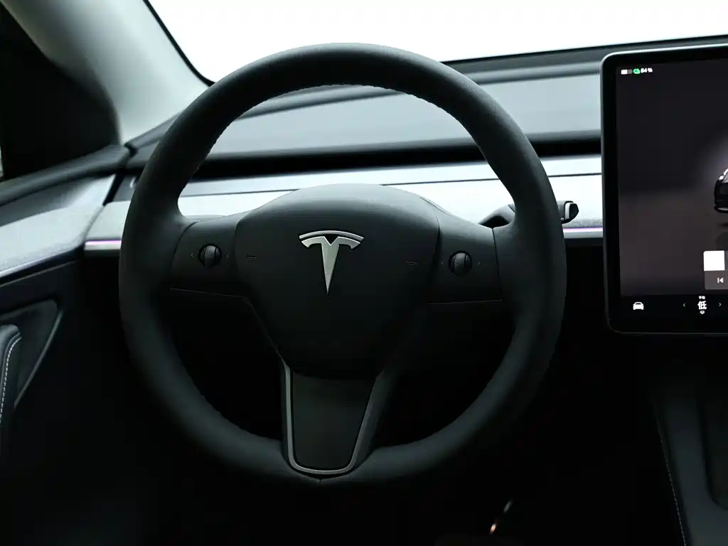 Tesla Model Y — миниатюра 14