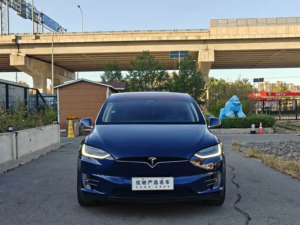 Tesla Model X — миниатюра 2