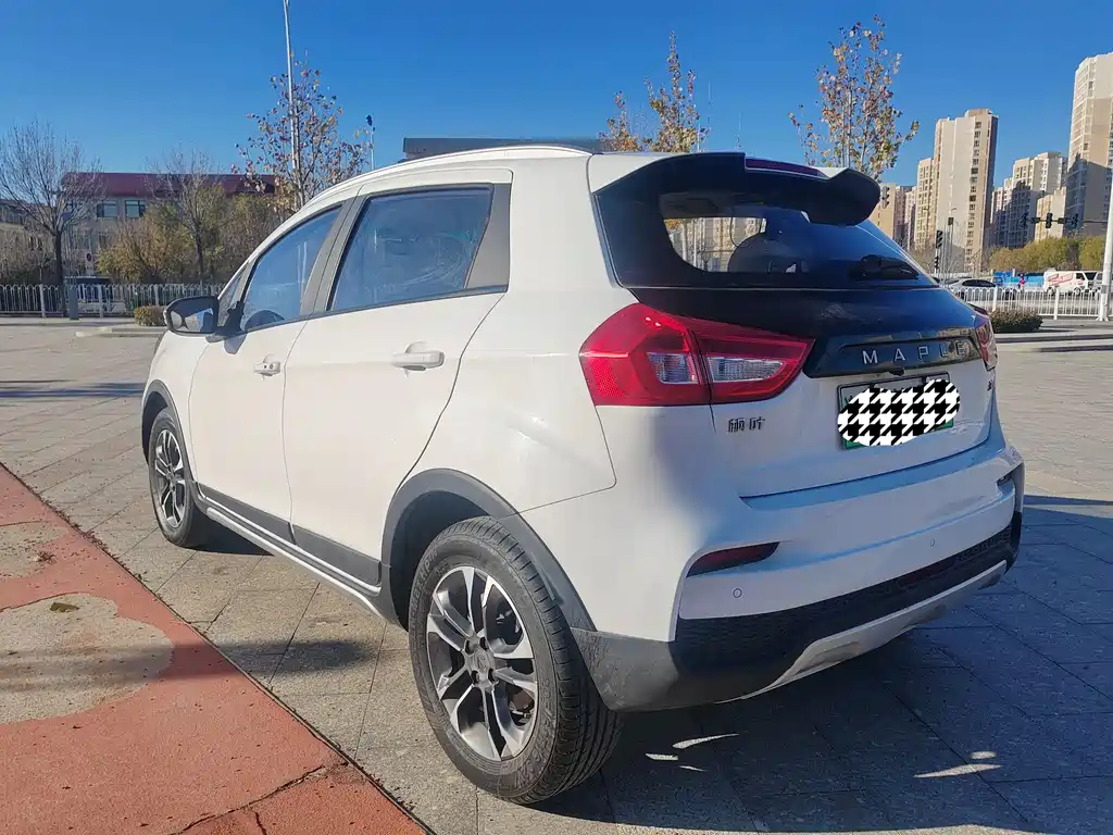 RUILAN AUTOMOBILE MAPLE LEAF 30X