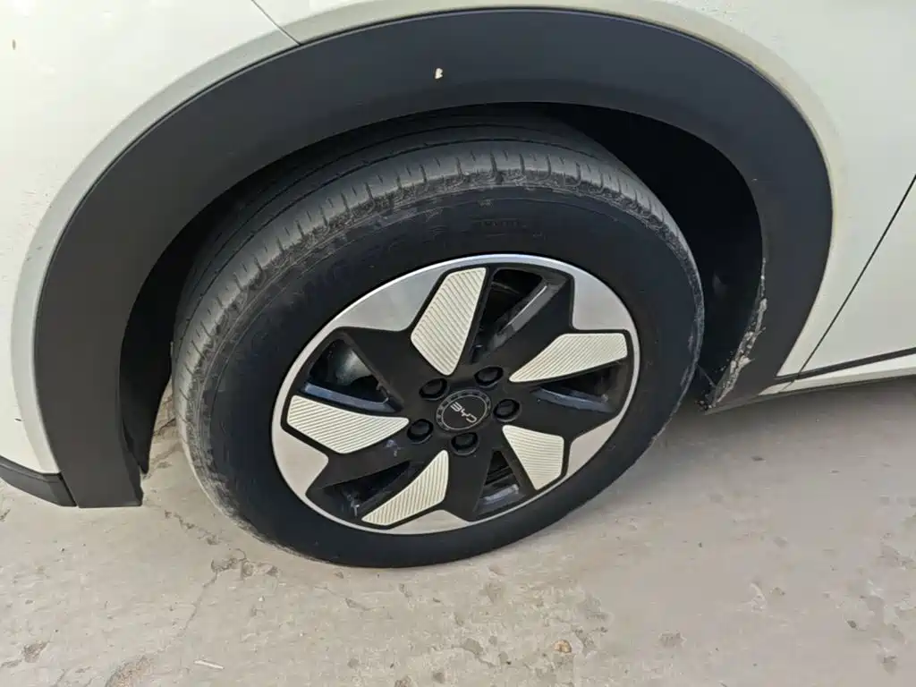 BYD Dolphin — миниатюра 23