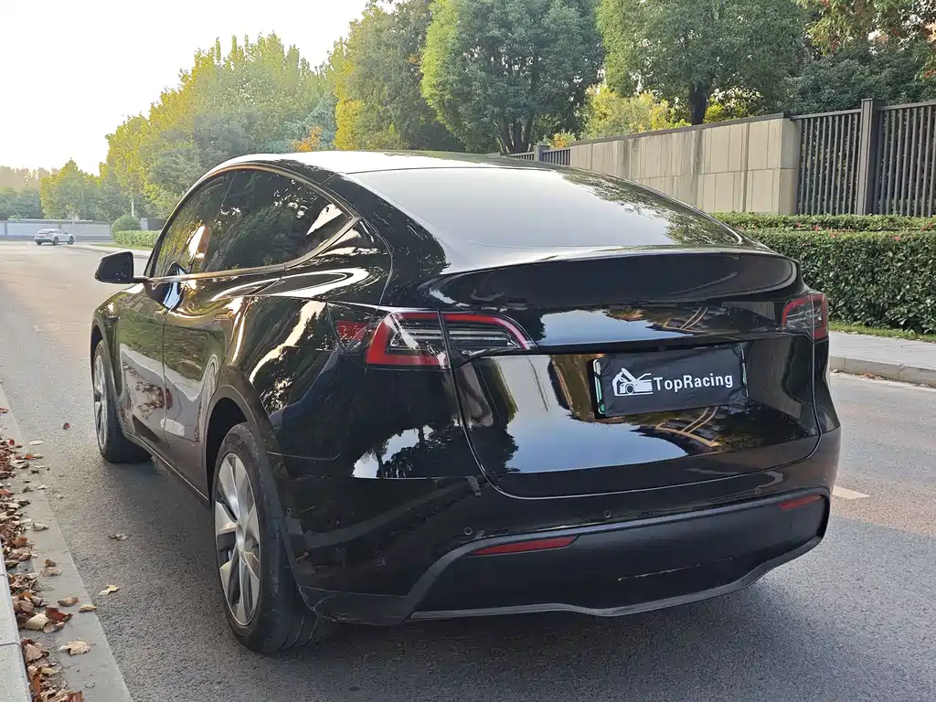 Tesla Model Y — миниатюра 7