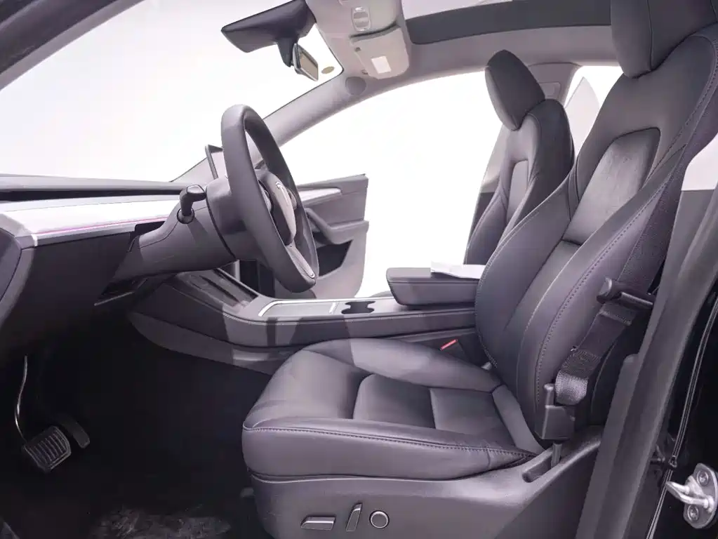 Tesla Model Y — миниатюра 23