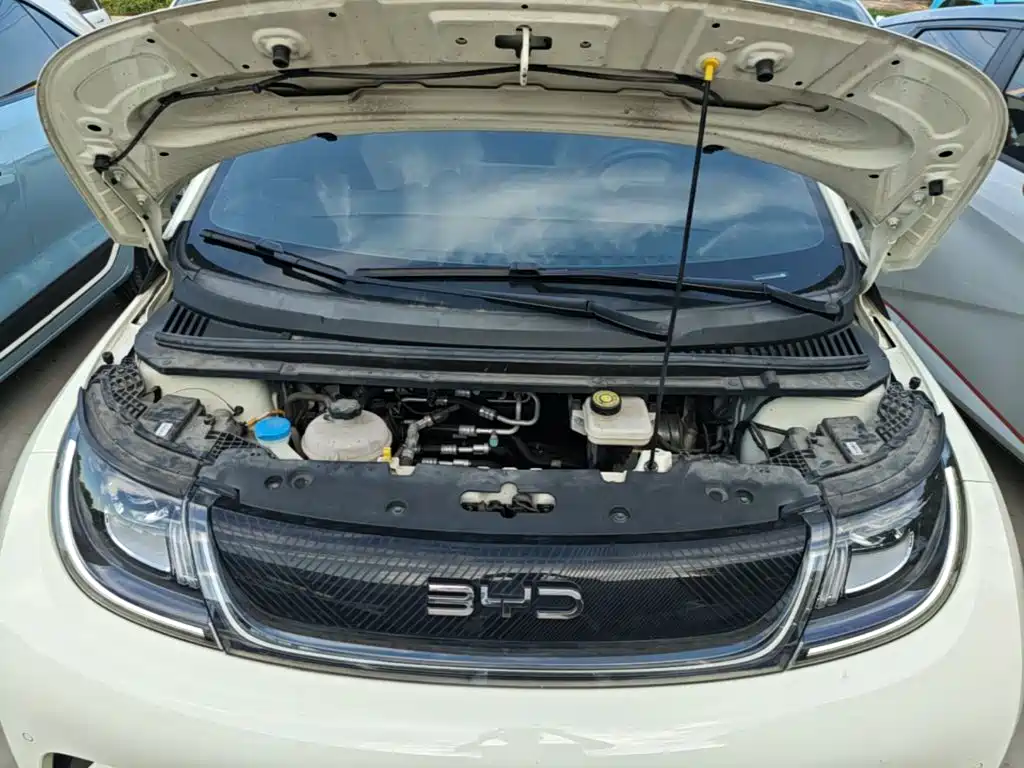 BYD Dolphin — миниатюра 20