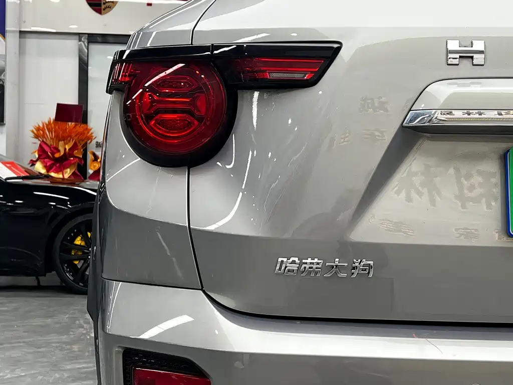 Haval Big Dog PLUS — миниатюра 10