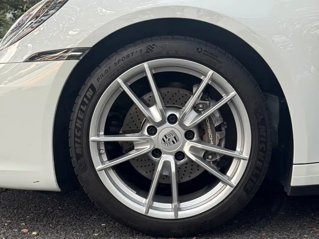Porsche 911 — миниатюра 9