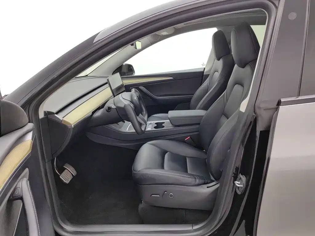 Tesla Model Y — миниатюра 10