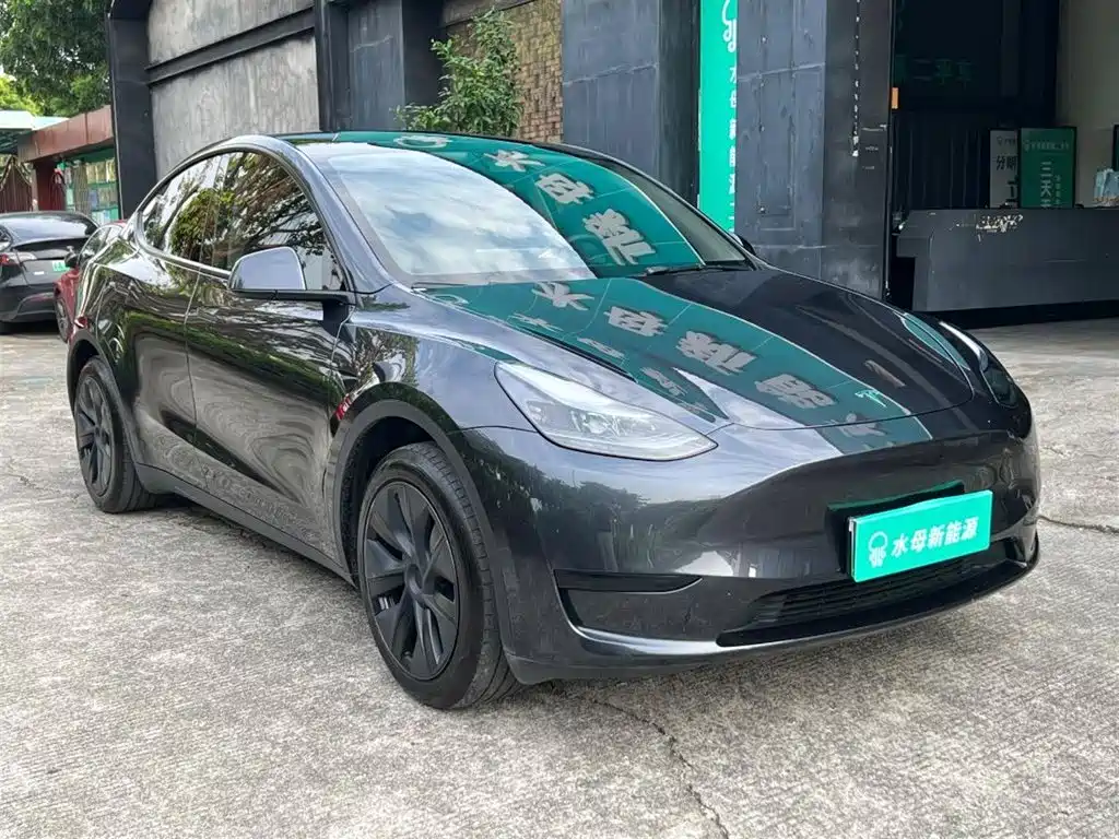 Tesla Model Y — миниатюра 14