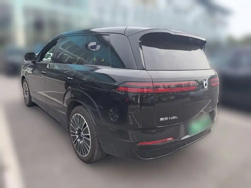 Denza Denza N8L — миниатюра 7