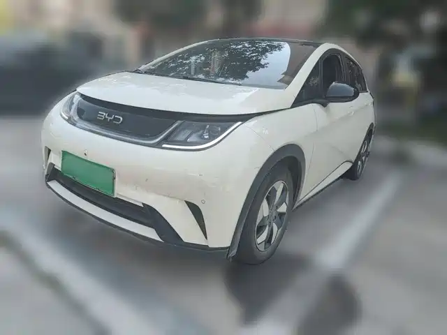 2025 BYD Dolphin