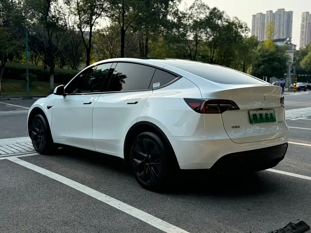 Tesla Model Y — миниатюра 6