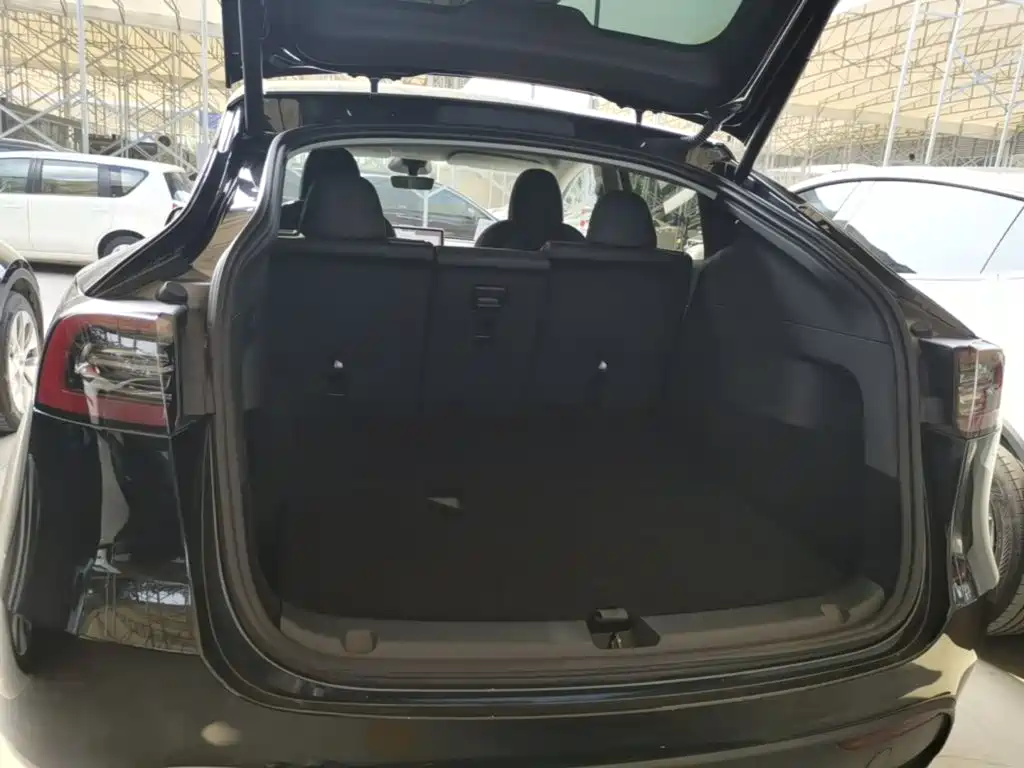 Tesla Model Y — миниатюра 19