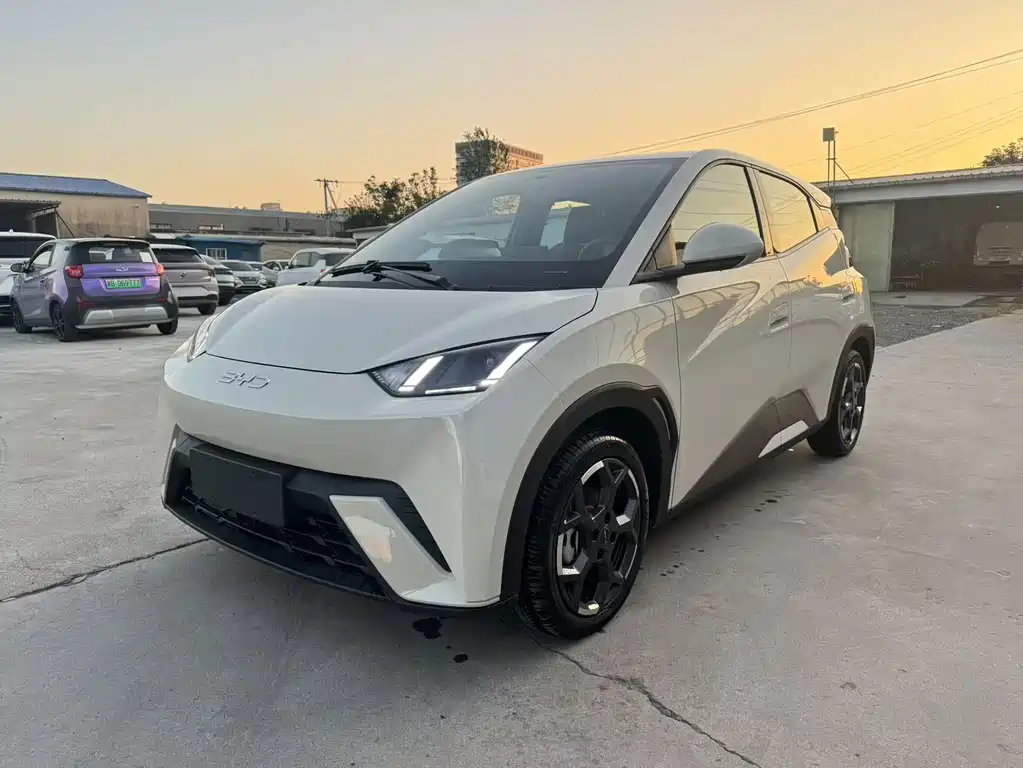 BYD Seagull