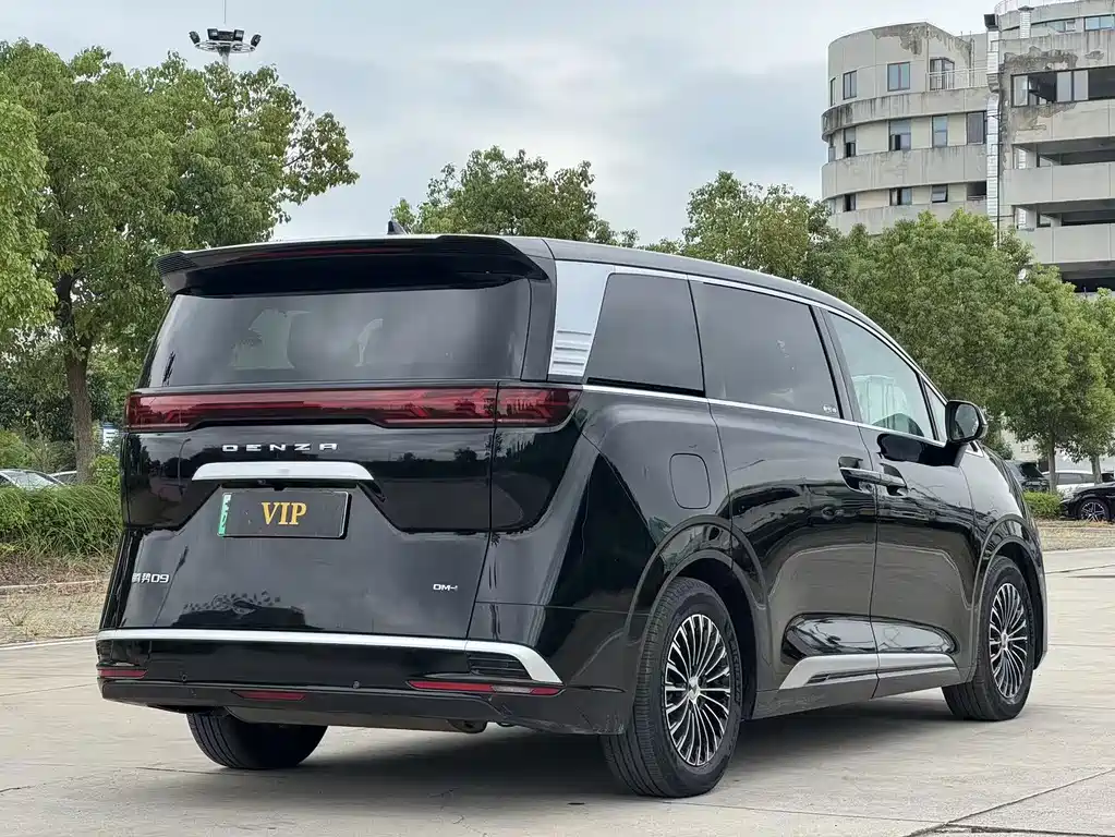 Denza Denza D9 — миниатюра 4